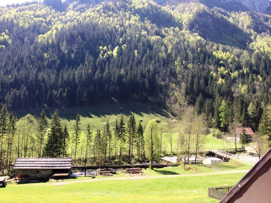 Bauernhof Govc-vrsnik Solčava