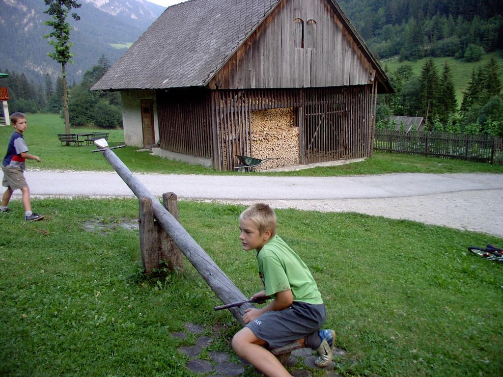 Bauernhof Govc-vrsnik *